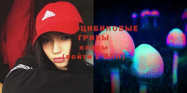 меф Пролетарск