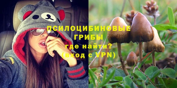 амф Приозерск
