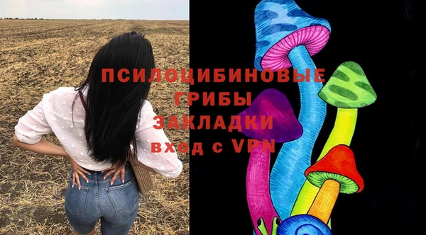 трава Абаза