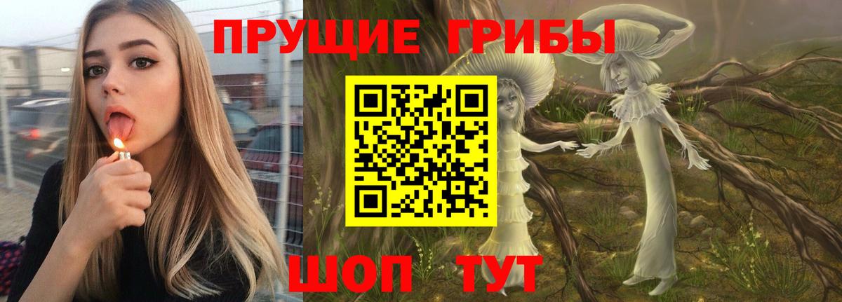 Галлюциногенные грибы Cubensis Отрадный