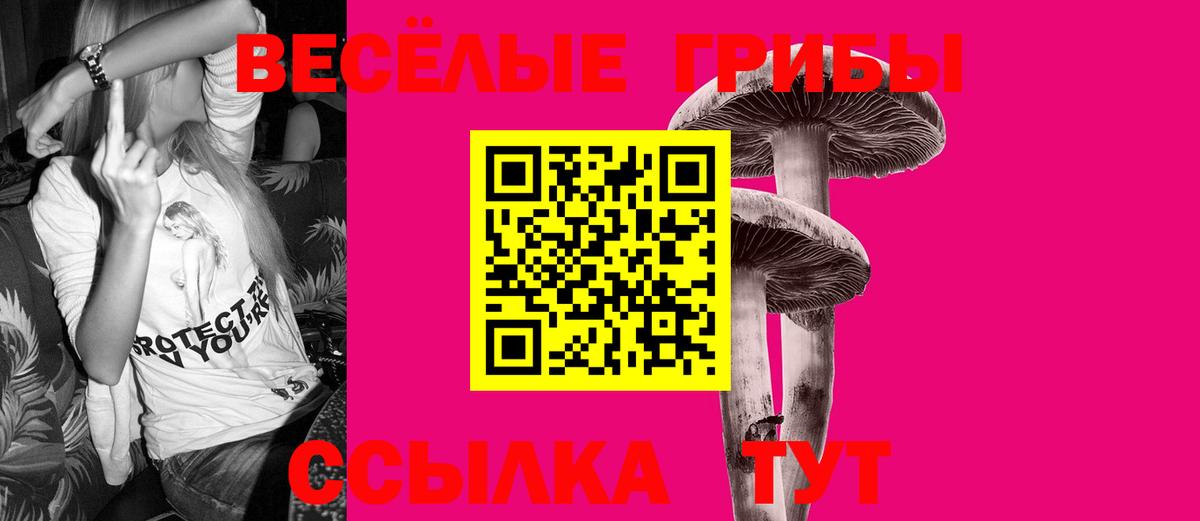 Отрадный  Псилоцибиновые грибы GOLDEN TEACHER  Вход с VPN 