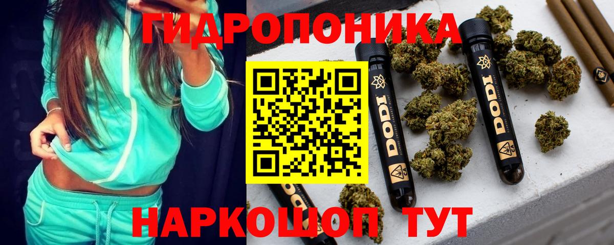 Бошки марихуана Bruce Banner Отрадный